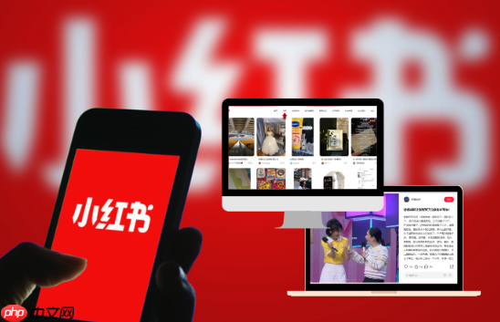 小红书如何快速积累粉丝_小红书快速积累粉丝的实用策略