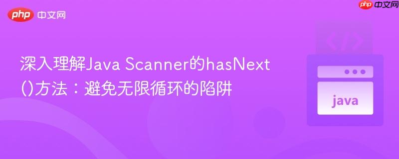 深入理解Java Scanner的hasNext()方法:避免无限循环的陷阱