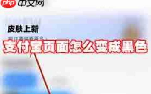 支付宝页面如何变成黑色