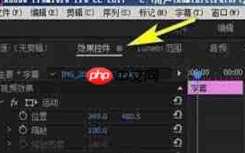 premiere怎么添加效果控件功能
