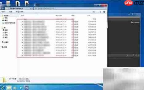 SolveigMM 3.7视频合并教程