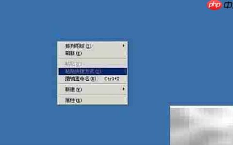 Win2003服务器复制粘贴故障解决