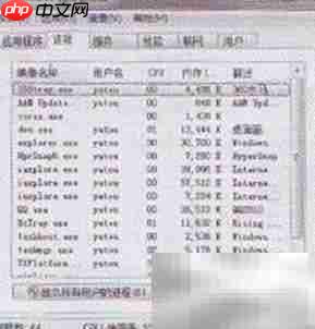 Windows任务管理器添加进程技巧