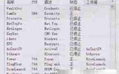 Windows任务管理器添加进程技巧