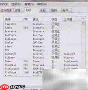 Windows任务管理器添加进程技巧