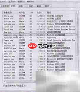 Windows任务管理器添加进程技巧