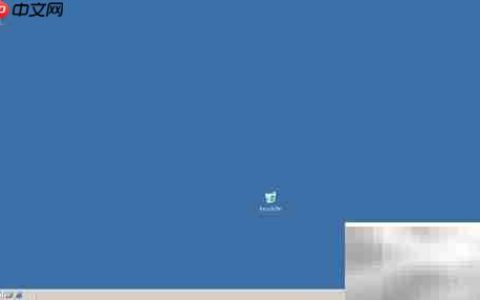 Server 2003中打开Performance程序