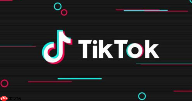 什么是TikTok直播推流码？TikTok直播推流码获取方法详解，如何提升流量与收益？