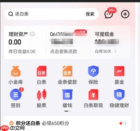京东白条逾期60天有问题吗?使用时需要注意什么?使用必读指南