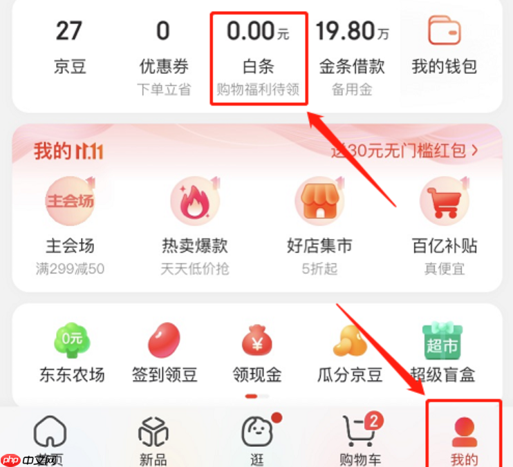 京东白条逾期60天有问题吗?使用时需要注意什么?使用必读指南