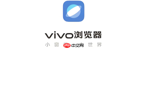 vivo浏览器官方互联网版登录 vivo浏览器正版官网网址