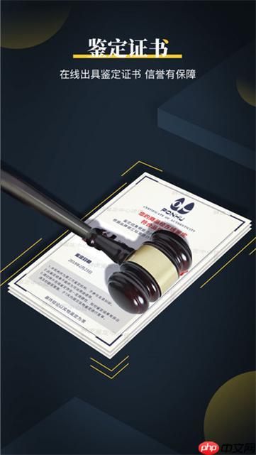 鉴定师app鉴定报告解读_鉴定师app报告内容与真伪判断指南