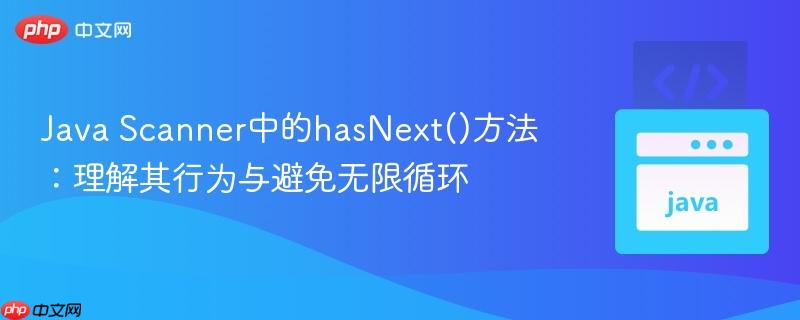 Java Scanner中的hasNext()方法:理解其行为与避免无限循环