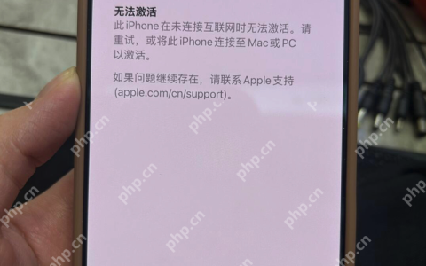 iPhone 17首发日遭遇“开门黑”：激活服务器全球性崩溃，新机变“板砖”