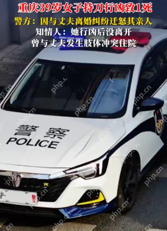 重庆警方通报女子持刀行凶致人死亡:因离婚纠纷迁怒丈夫亲人 - 创想鸟