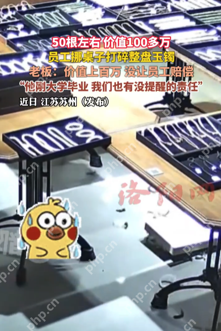 员工打碎百万玉镯,老板回应“不用赔”:刚毕业,公司也有责任 - 创想鸟