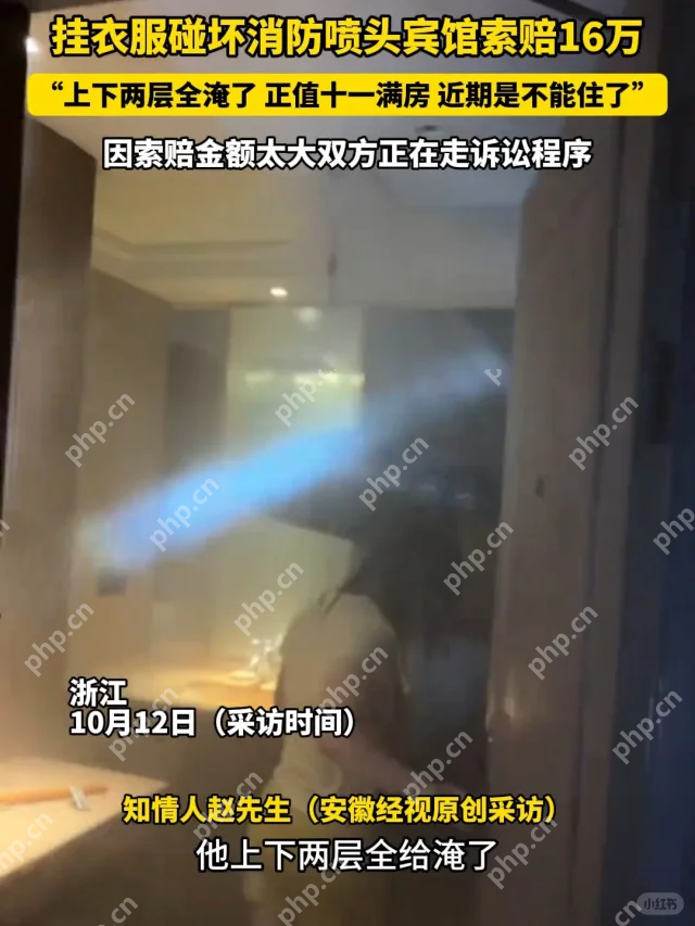 天价“晾衣”!客人挂衣服触发消防喷头,宾馆索赔16万 - 创想鸟
