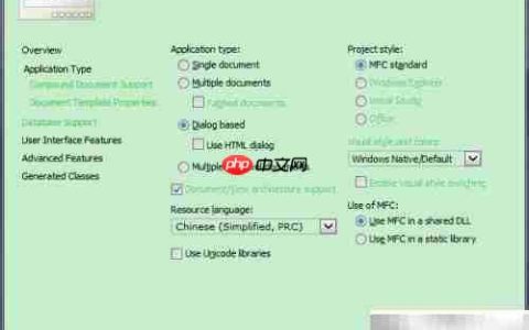 软件开发中的国际化