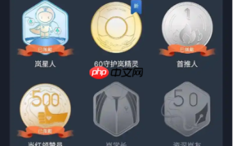 抖音名字后面的勋章是什么意思？如何提高上热门的几率？提升自己的影响力。