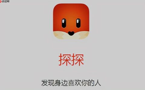探探App如何注册账号_探探App注册账号完整流程及注意事项