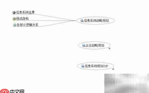 解读ISP：信息系统规划