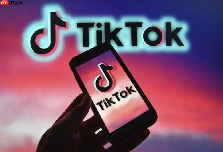 抖音海外版电商赚钱攻略?成为TikTok网红与涨粉Mai号的实操分析!