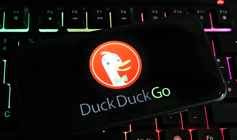 duckduckgo浏览器支持flash player吗_duckduckgo flash支持说明