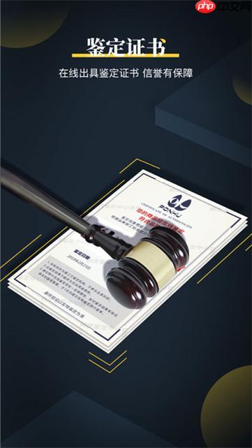 鉴定师app怎么鉴定包包_鉴定师app包包鉴定步骤与真伪辨别