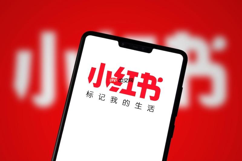 小红书主页内容无法加载如何处理