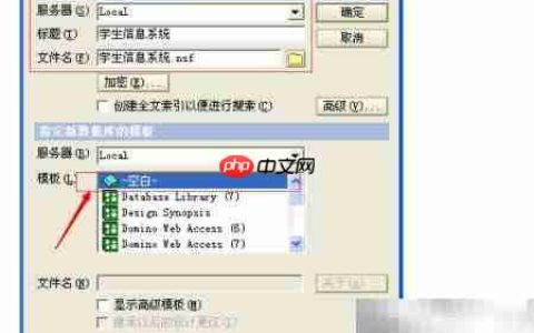 Designer创建数据库实例指南