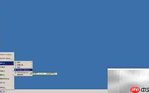 Win Server 2003调IE安全等级