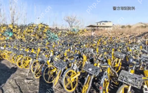 男子偷上万辆共享单车每辆卖105元，盗车速度过快导致收赃人员反欠其20多万
