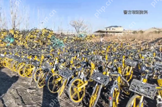 男子偷上万辆共享单车每辆卖105元,盗车速度过快导致收赃人员反欠其20多万 - 创想鸟
