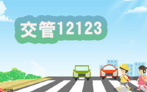 交管12123如何查询我的驾驶证状态_交管12123查询我的驾驶证状态方法