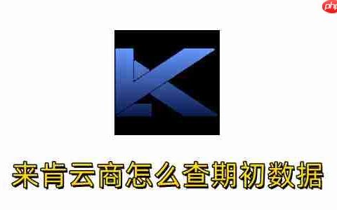 来肯云商怎么查期初数据？来肯云商查期初数据的方法