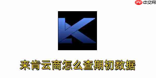来肯云商怎么查期初数据?来肯云商查期初数据的方法
