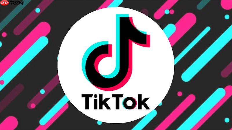 tiktok在线浏览入口 tiktok网页版访问链接