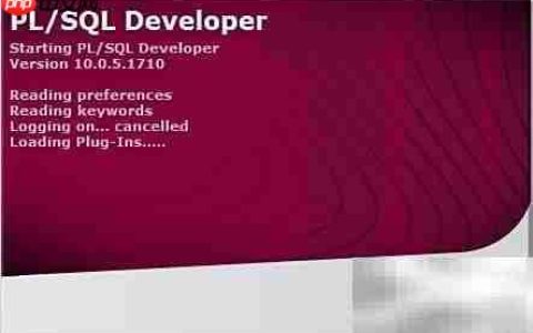 Oracle使用入门指南
