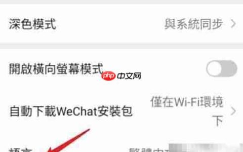 iPhone设置简体中文教程
