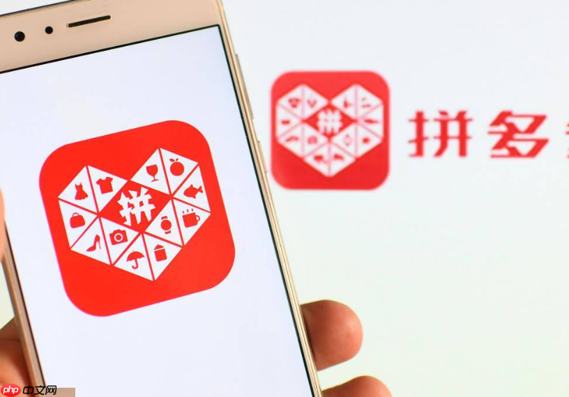拼多多推广引流使用什么工具?店铺怎么引流推广?从“多多搜索”到“直播+电霸”,一站式拆解流量打法!