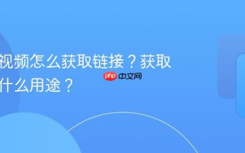 视频号视频怎么获取链接？获取链接有什么用途？
