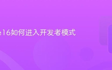 iPhone16如何进入开发者模式
