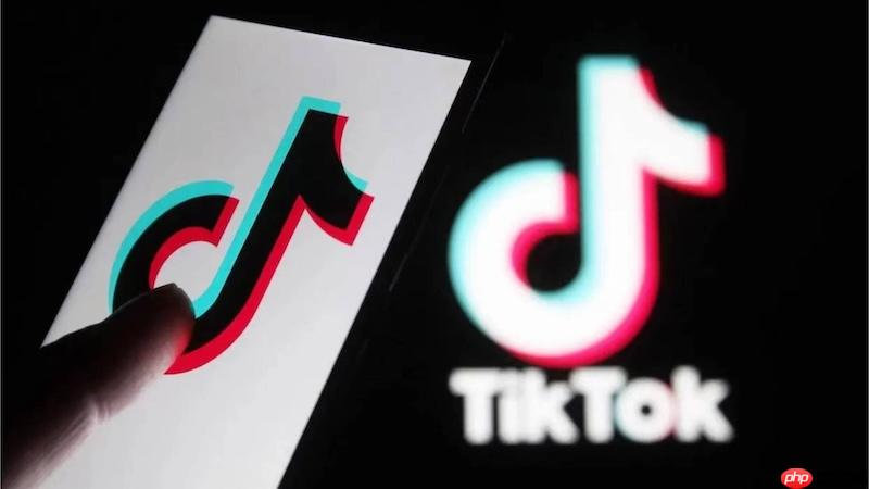 tiktok网页版入口链接 tiktok在线访问地址