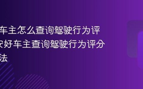 平安好车主怎么查询驾驶行为评分_平安好车主查询驾驶行为评分详细方法