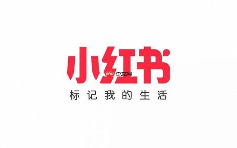 小红书千帆APP有电脑版吗_小红书千帆APP电脑端使用情况说明