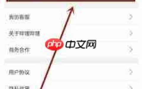 哔哩哔哩怎么开启暗色模式