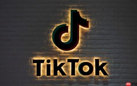 TikTok主页内容加载慢如何处理