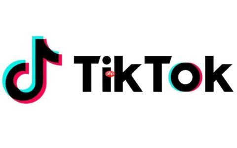 tiktok网页版连接 tiktok在线访问入口