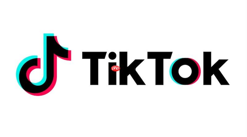 tiktok网页版连接 tiktok在线访问入口