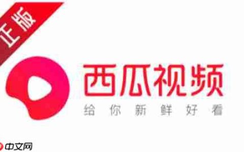 西瓜视频怎么实名认证？-西瓜视频实名认证的方法